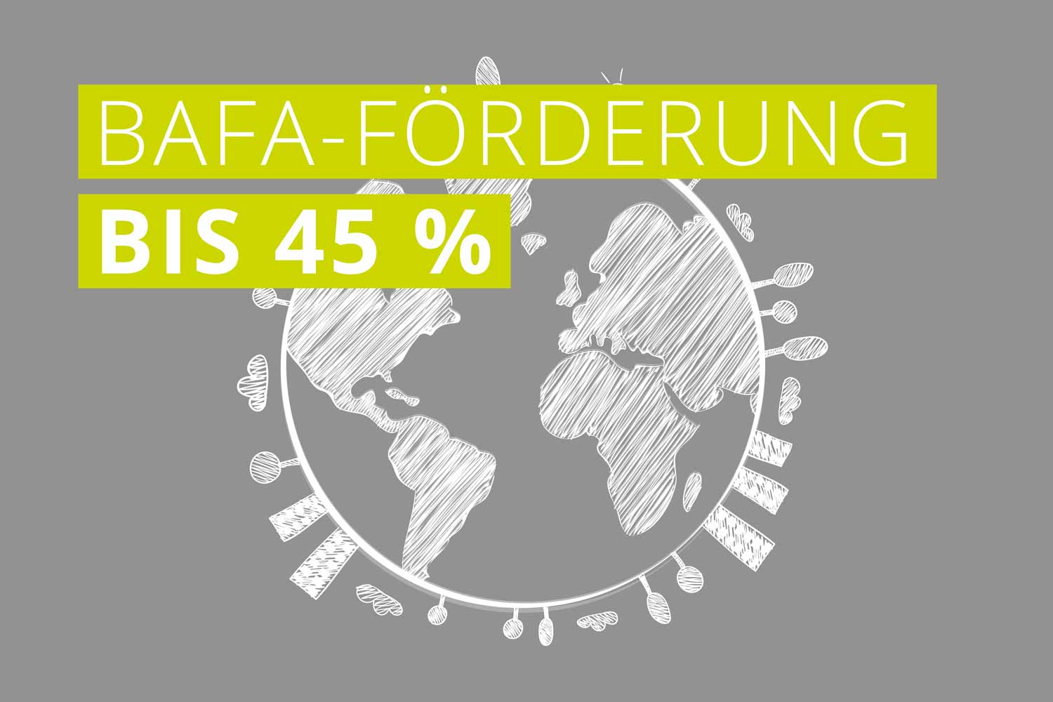 BAFA Förderung